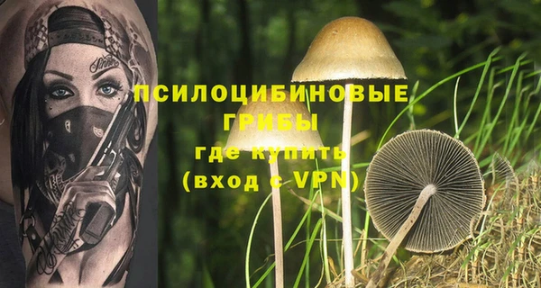 марки lsd Краснотурьинск