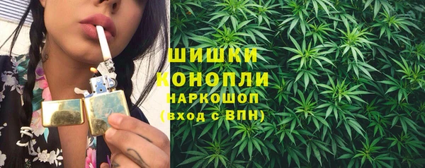 ПСИЛОЦИБИНОВЫЕ ГРИБЫ Новосибирск
