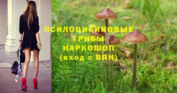 стаф Санкт-Петербург