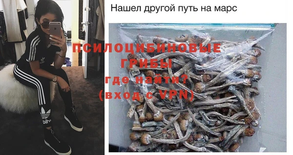 ПСИЛОЦИБИНОВЫЕ ГРИБЫ Новосибирск