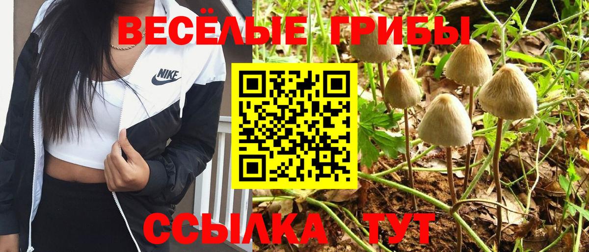 Галлюциногенные грибы Cubensis Саяногорск