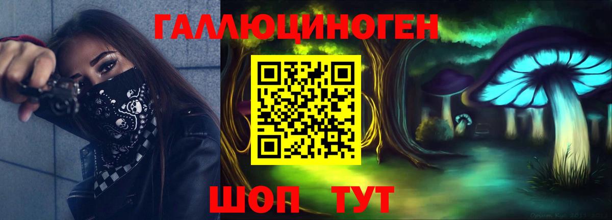Саяногорск  Псилоцибиновые грибы Psilocybine cubensis  хочу наркоту  Вход с VPN 