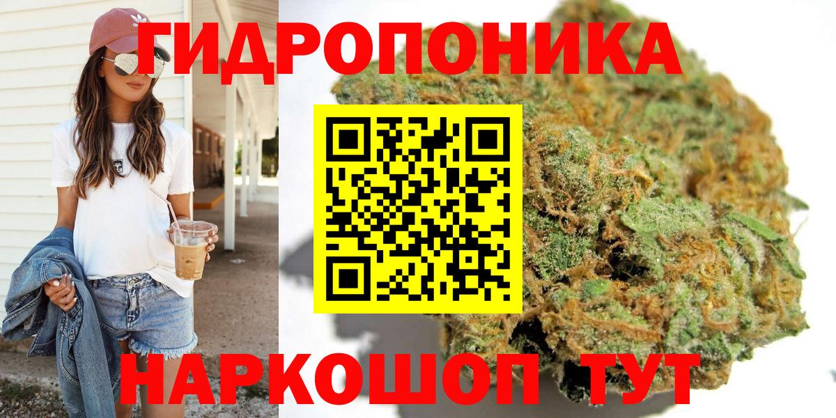 Шишки марихуана гибрид Саяногорск